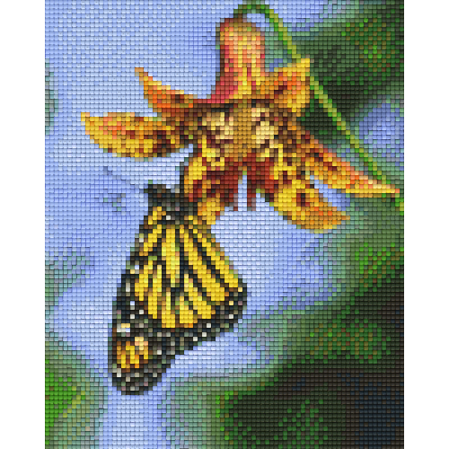 Motýľ 34476